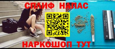 крисы Вязьма