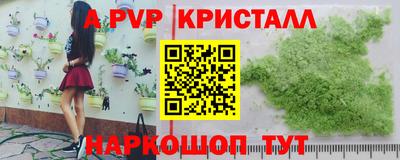 крисы Вязьма