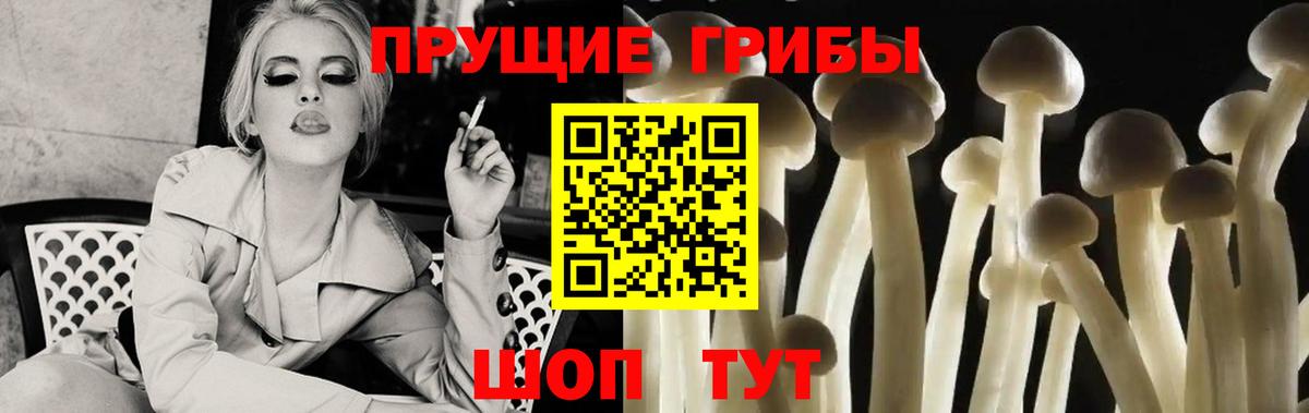 Кашира  Псилоцибиновые грибы GOLDEN TEACHER  Вход с VPN 